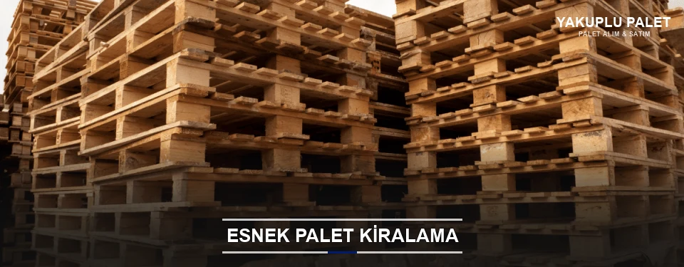 Yakuplu Uygun Fiyatlı Palet Kiralama Yakuplu Uygun Fiyatlı Palet Kiralama